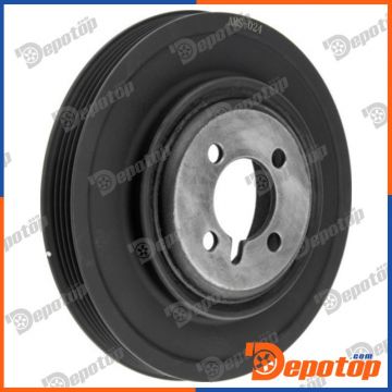 Poulie damper vilebrequin pour MITSUBISHI | RKP-MS-024, MD145529